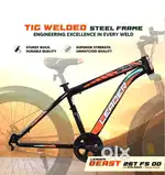 Fat tyre bycycle