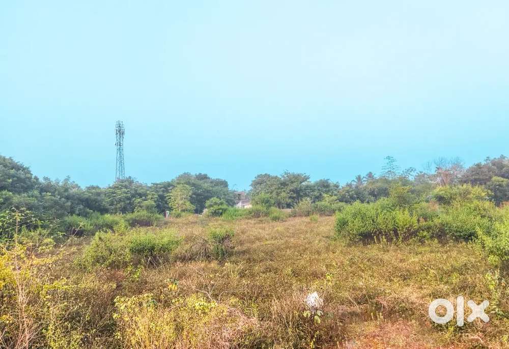 Prime Residential Plot Near Main Road  Close to Big Market & College