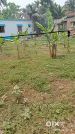 Land near Habra Railway station