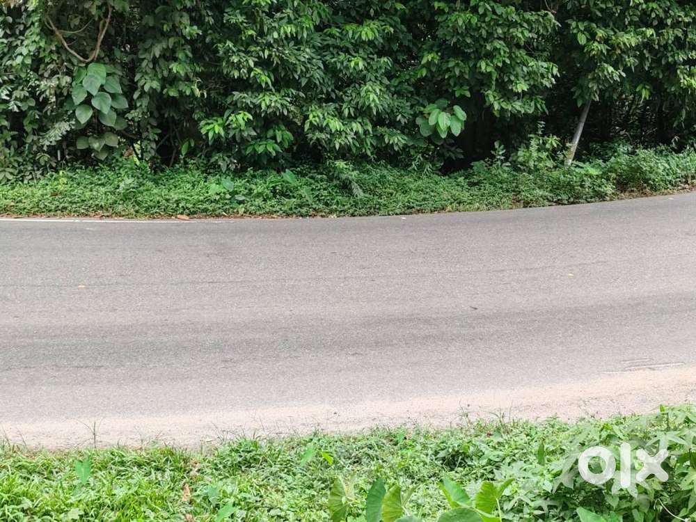 50 cent, NH, Road frontage  Dry land for sale