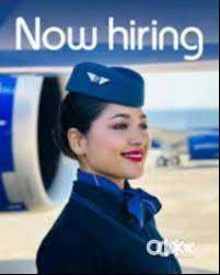 Female Candidates Freshers & Experience  Apply Fast Join Us Indigo Air