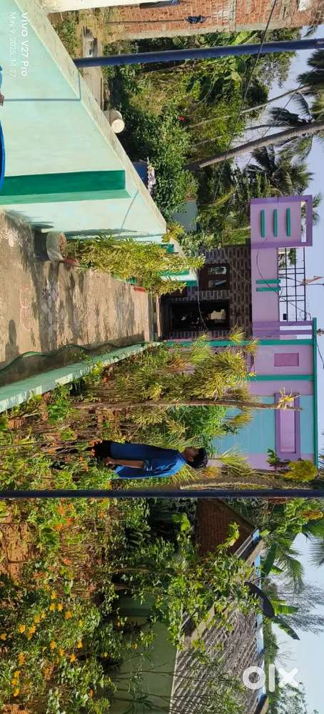 individual house in nelivada