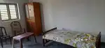 Rooms /house/apartment for bachelors