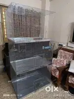 Birds cage