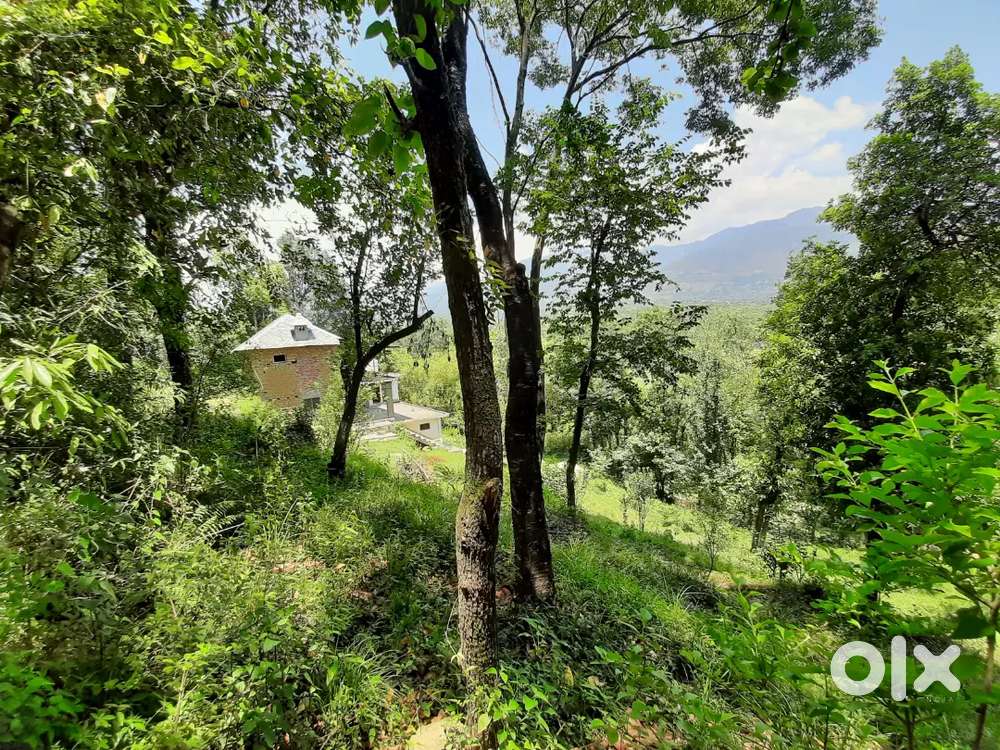 12 kanal land alongwith house offered for sale