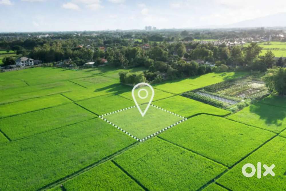 8 एकर  3 गुंठे  संपूर्ण.      35 लाखात