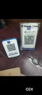 Bajaj Pay (Field Work)
