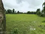 Land sale p
