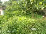 Plot for sale