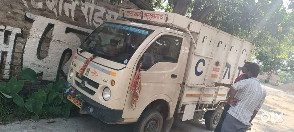 Tata ace gold all pepper ok