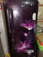 LG fridge 2019 model , fridge m gas nhi h baki pura fridge comple h..