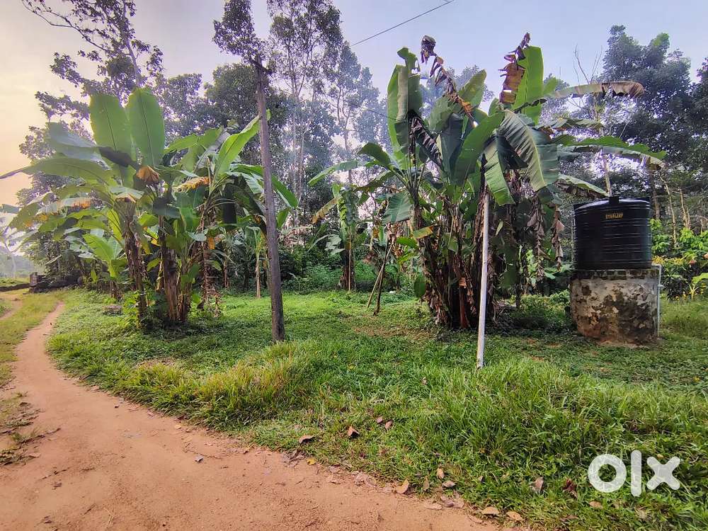 Land for sale asking price 33 lakh