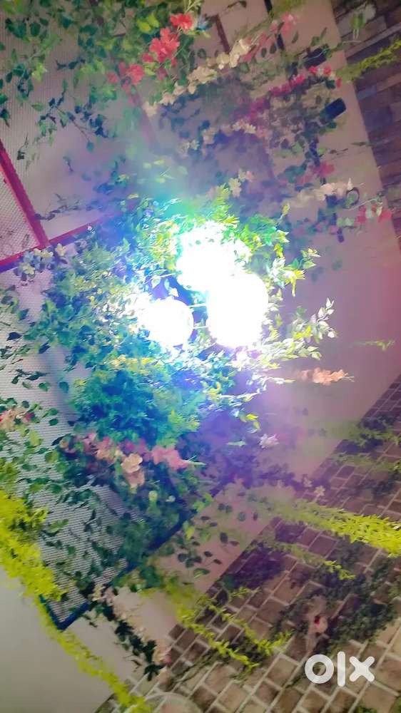 Running cafe all set