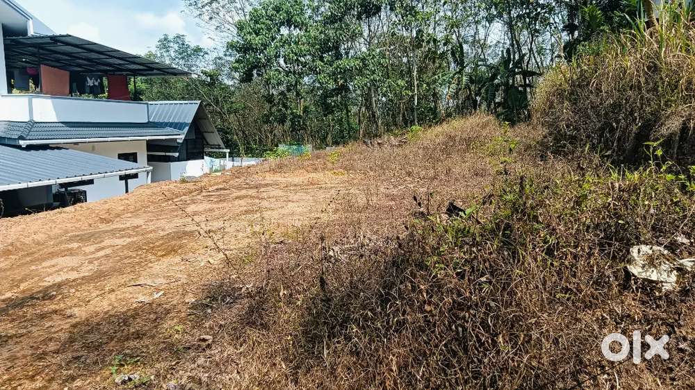 Urgent Sale കുറവിലങ്ങാട് price negotiable ആണ്