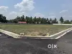 Shanmuga grand 4 mints from Kovilpalayam