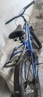 Bycycle gang company