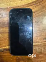 12 pro max