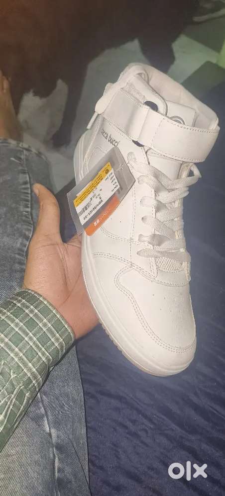 Shows bacca bucci brand new 9 number