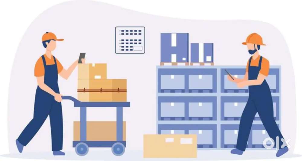 Picker packer for Koregaon park