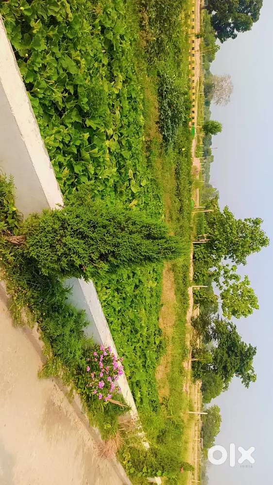 1000-3000 square feet plot Sultanpur road