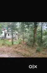 General land for sale in Bojoghari, Magar goan, Gangtok