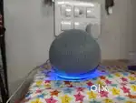Amazon echo dot..