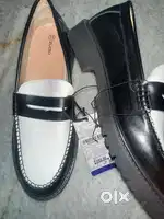 New brand zudio shoes