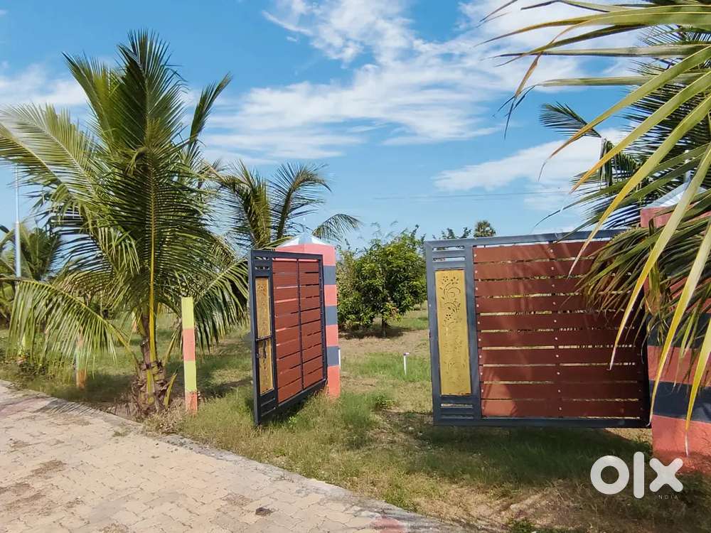 10000 Sq.Ft Organic Redwood Farm Plot @ Tindivanam NH77 – Rs.225/Sq.Ft