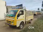 TATA Ace gold