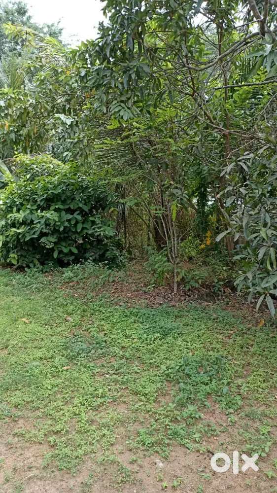 Near Thrissur land for sale