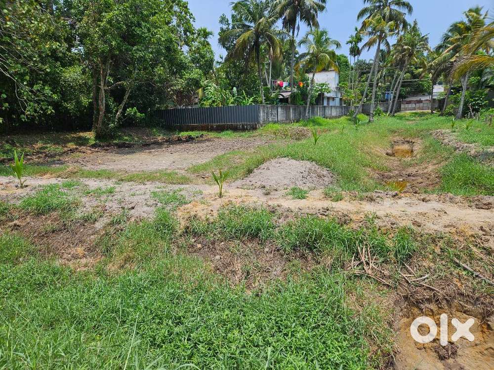 55 cent nilam for sale.