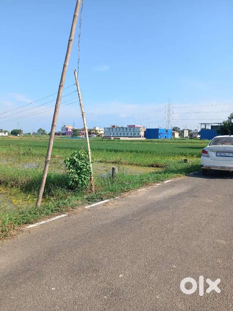 Sampatchak Sohgi Black Pitch Road par 2 kattha ka plot for sale