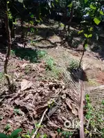 LAND FOR SALE KUNNAMANGALAM 10 TH MILE KOZHIKODE