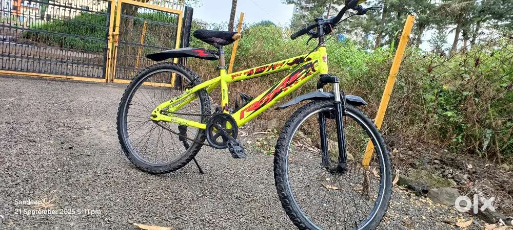 Roxie Cycle 26 inches tyer