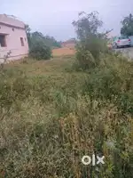 Corner Plot for Sale – 1740 sq. ft.  Near D-Mart, Bhandara