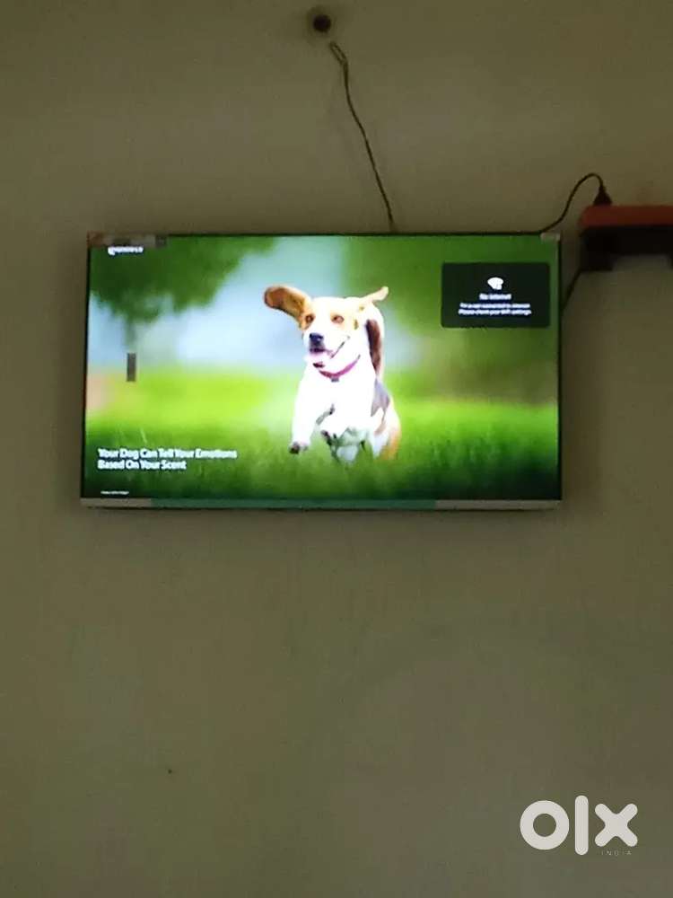 Sell my 8 months old tv like a new cocca 43 inches smart Android tv