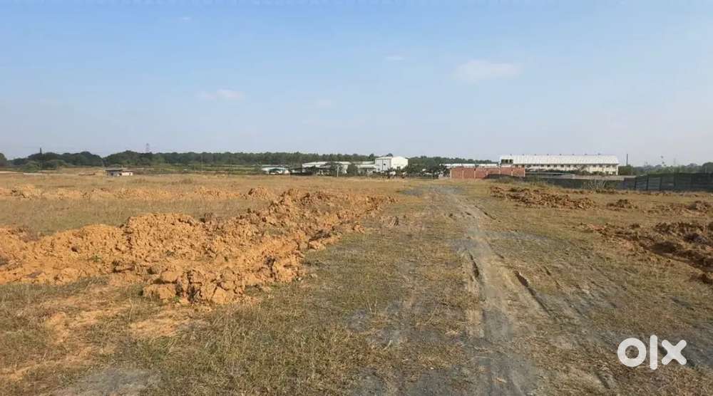 18 Dismil General plot