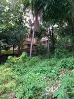 9 Cent Land for sale in thirumala Thiruvananthapuram.
