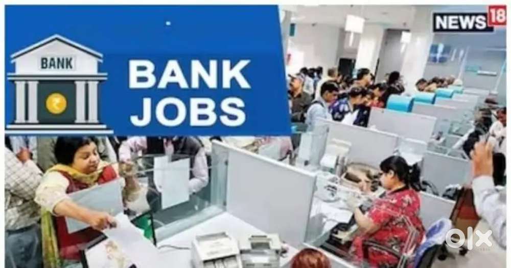 Tele caller, Supervisor for bank collection work