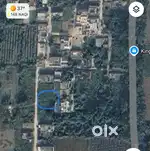 12 marle plot for sale in hariana,hoshiarpur