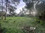 തലയോലപ്പറമ്പിൽ 12 സെന്റ് സ്ഥലം വില്പനക്ക്