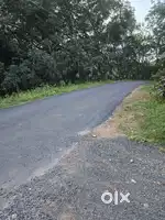 Plot for sale
