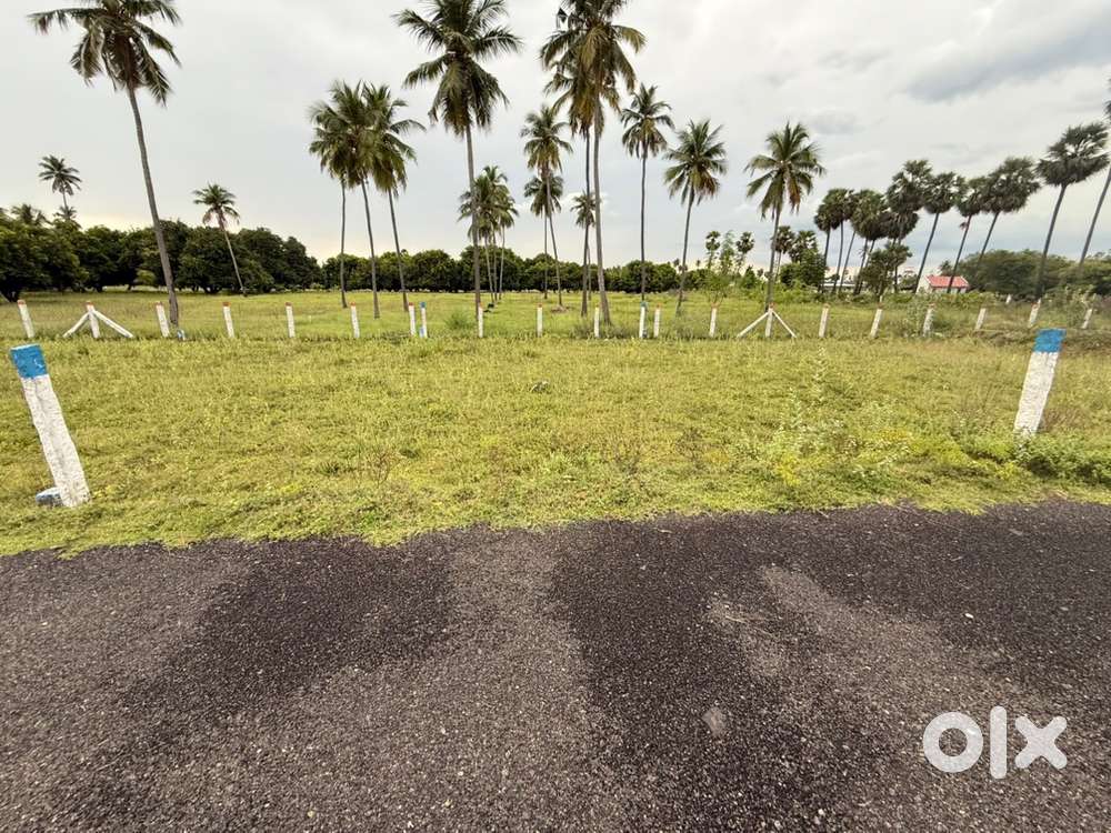 Residential plot for sale in natham road