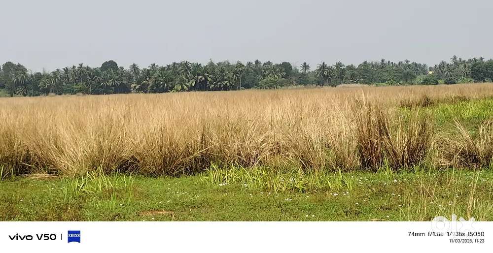 Land sell at Dankuni Chonditala