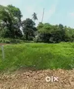 Urgent sell plot