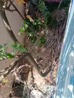 Land sale avadi