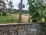 Nedumbassery kalady manikamakalam main road frontage 138 cent  land