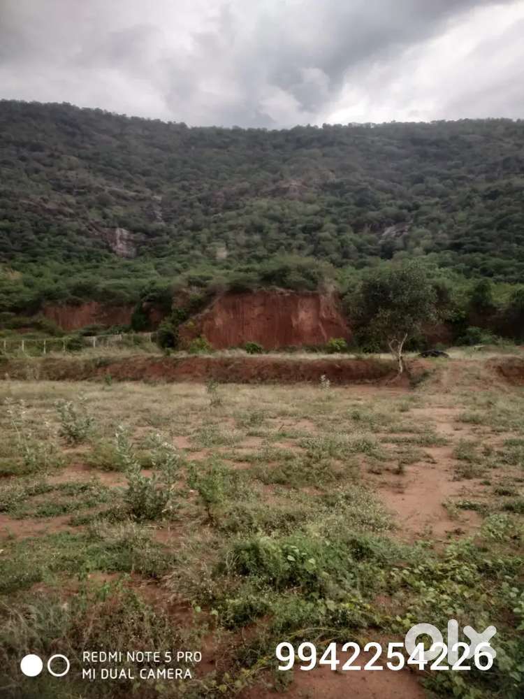 Agri land/plot for sale