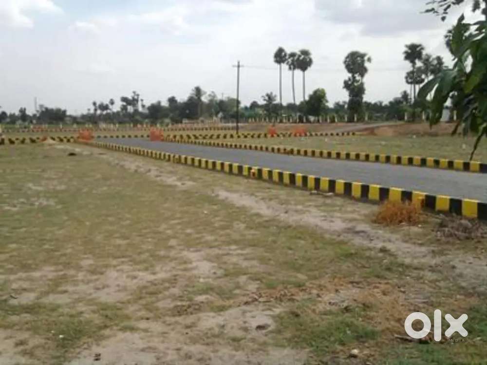 Near Prem mandir , bankey bihari mandir