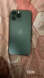 13 pro max